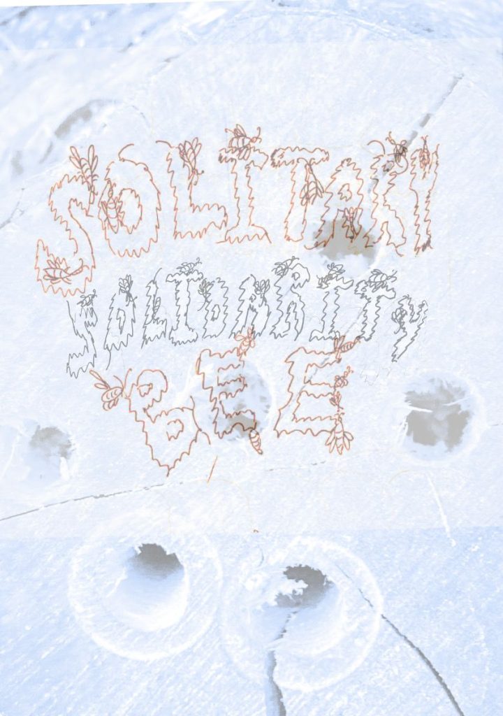handrawn text, almost dripping with honey, with bees hovering over it reads, solitary solidarity bee